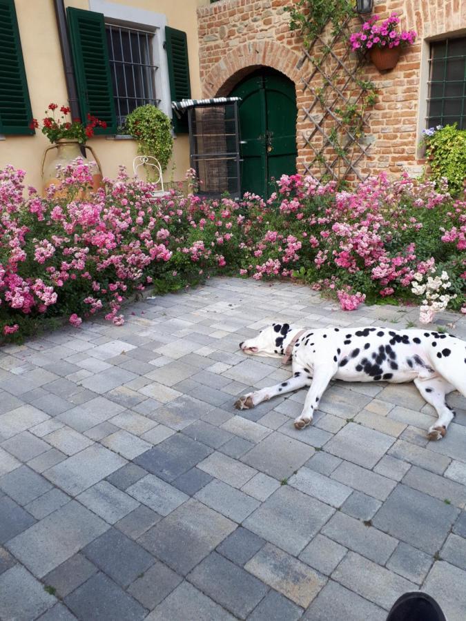 Casa Relax Immersa Nel Verde Della Natura Casalborgone Eksteriør bilde