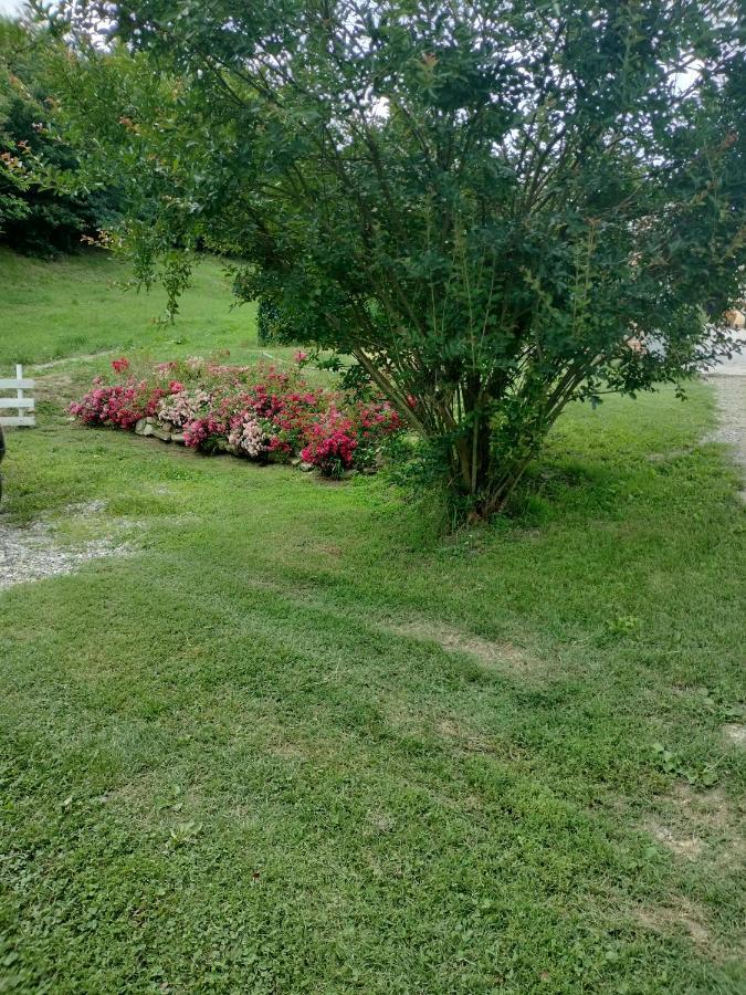 Casa Relax Immersa Nel Verde Della Natura Casalborgone Eksteriør bilde